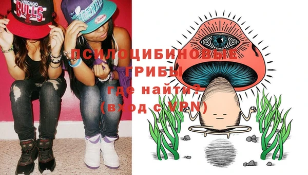 альфа пвп Заволжье