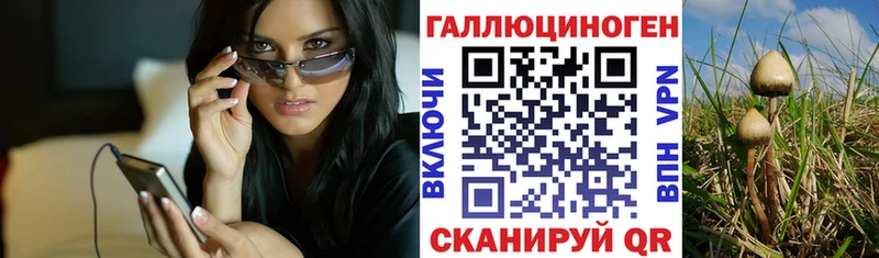Купить где  Ефремов  Псилоцибиновые грибы мухоморы 